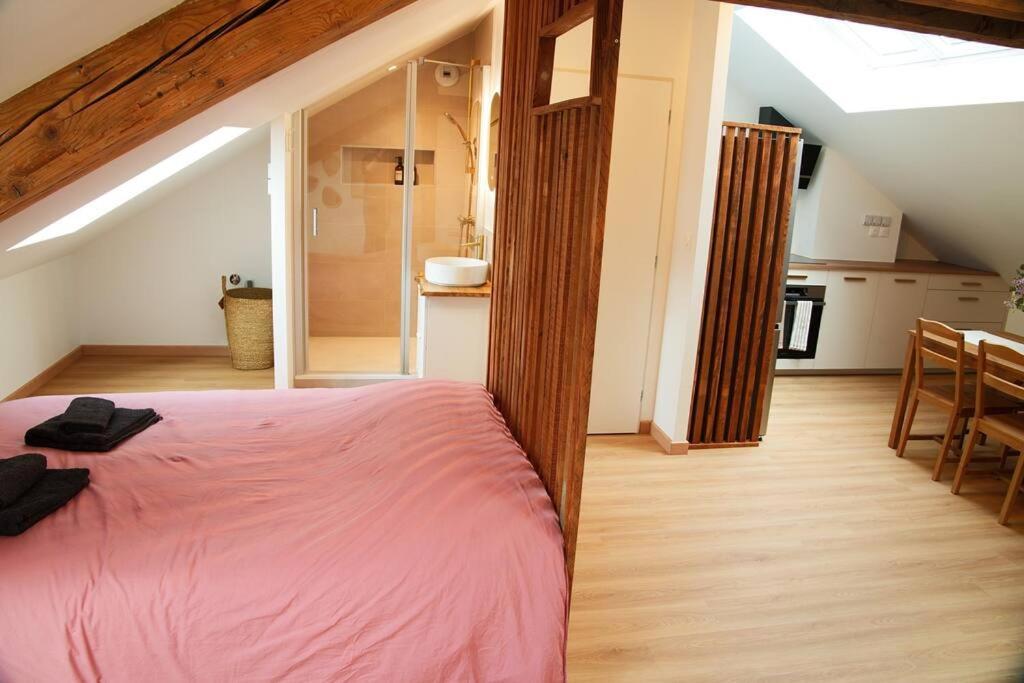 Appartement De Charme A Nancy Extérieur photo