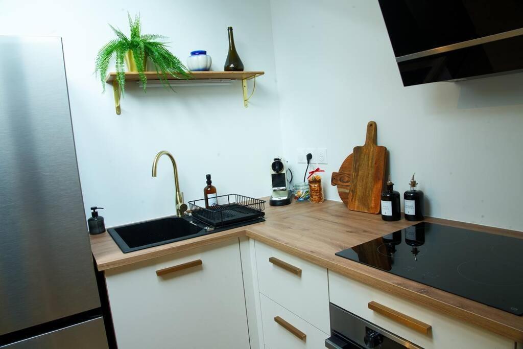 Appartement De Charme A Nancy Extérieur photo