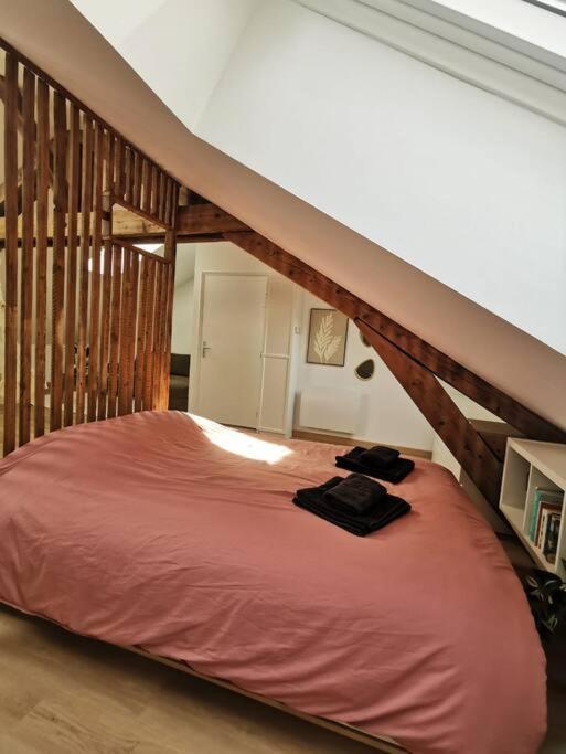 Appartement De Charme A Nancy Extérieur photo